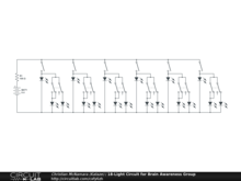 18-Light Circuit for Brain Awareness Group